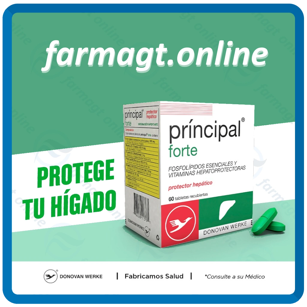 PRINCIPAL FORTE 60 CAPSULAS